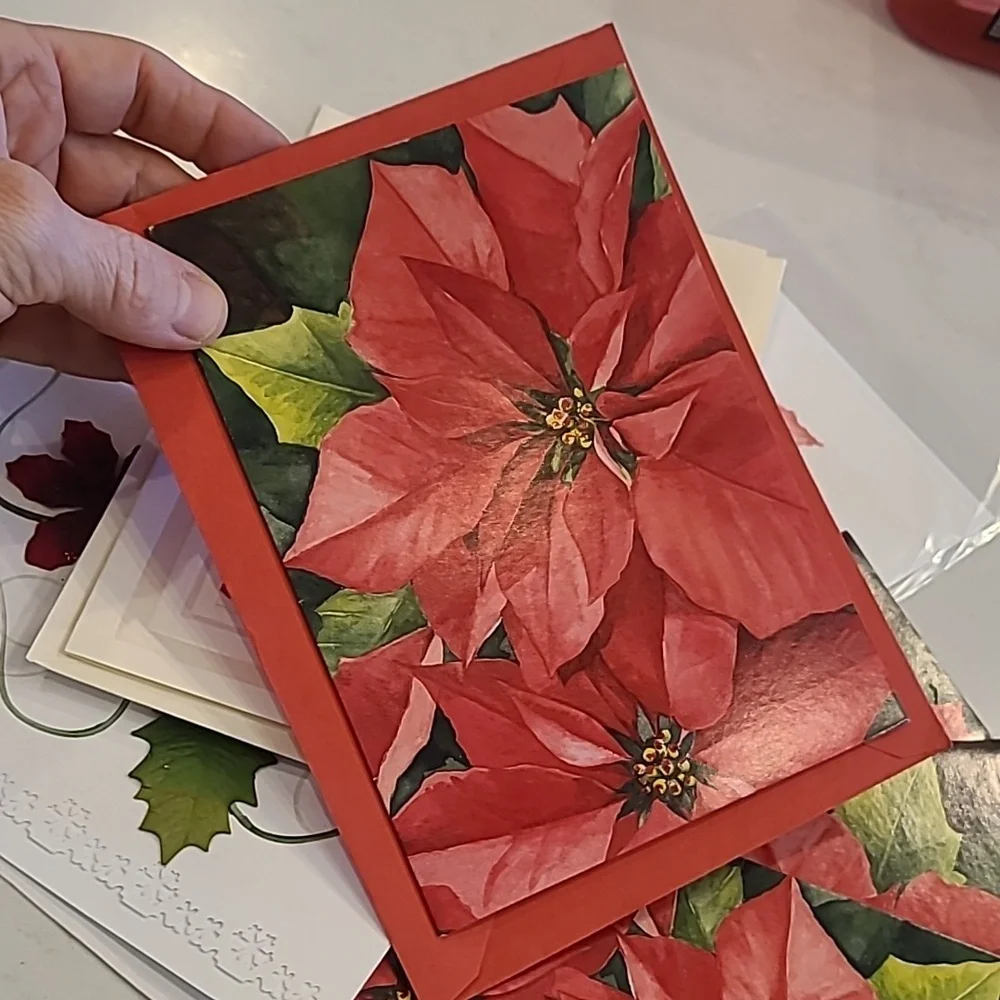 Festive Poinsettia Greeting Cards 7 Total